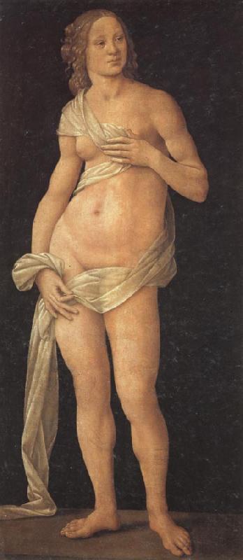 LORENZO DI CREDI Venus France oil painting art